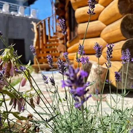 Lavender House Holiday home Slavske