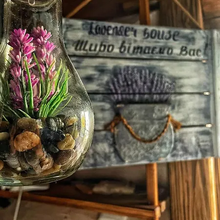 Feriehus Lavender House *