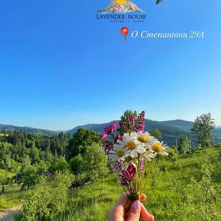 Vakantiehuis Lavender House *