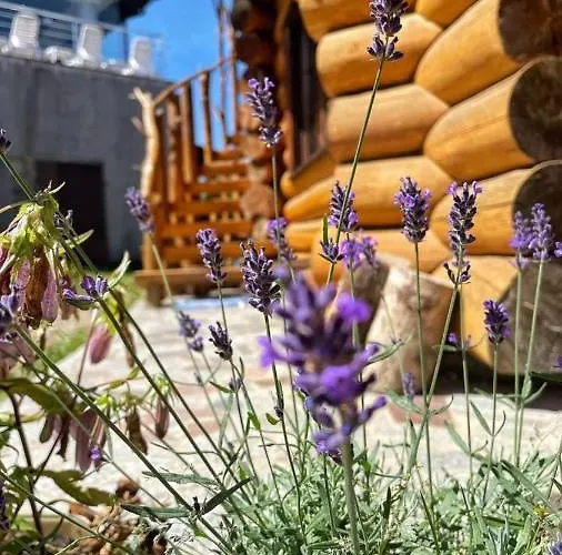 Lavender House Holiday home Slavske