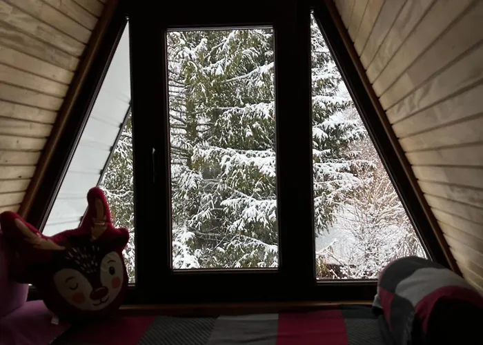 Lavender House * Slavske